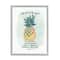 Stupell Industries The Fruit of the Spirit Multicolored Pineapple Framed Wall Art